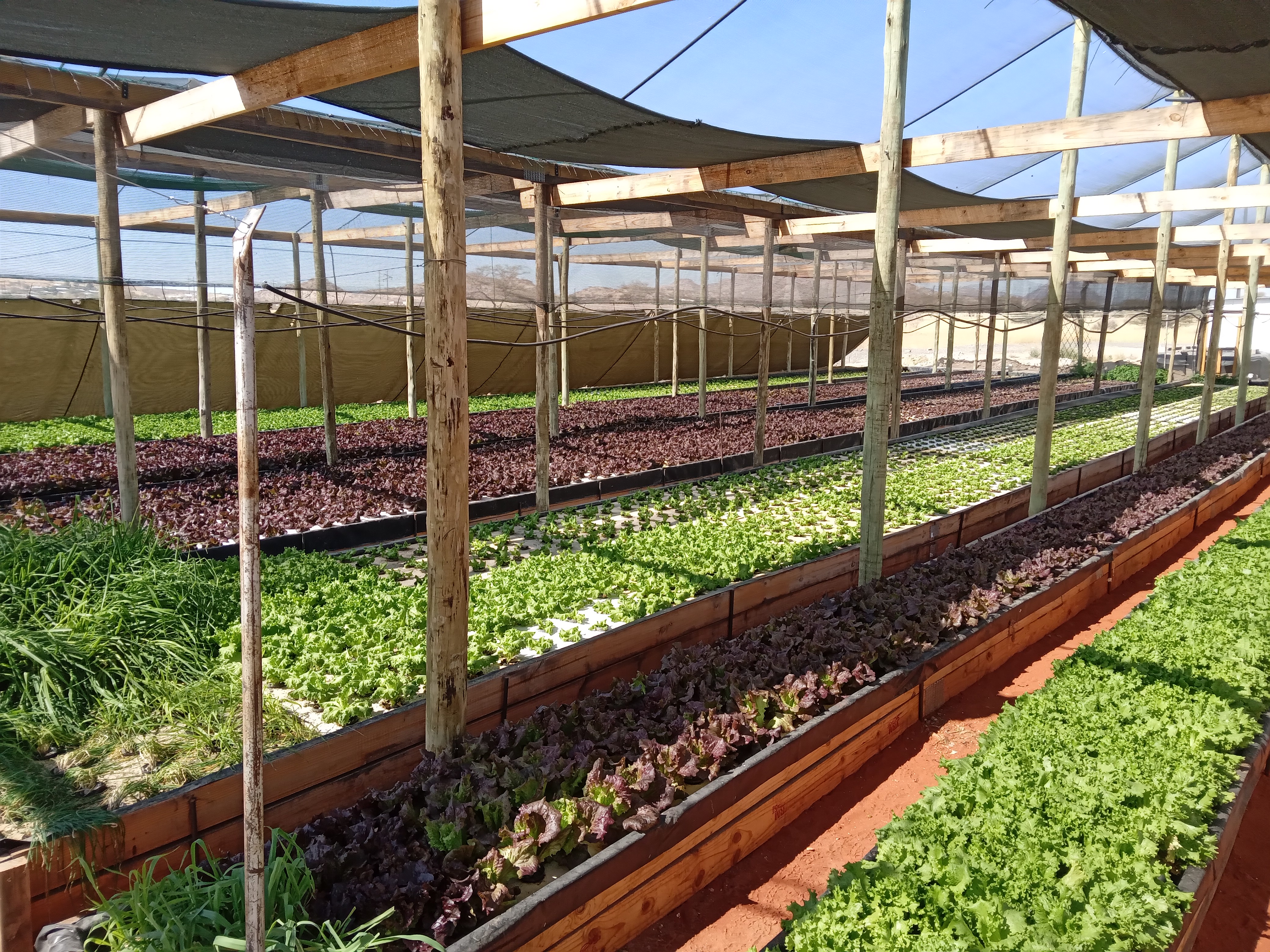 Aquaponics Farm for Sale