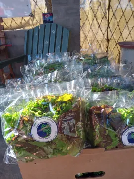 Aquaponics Farm for Sale