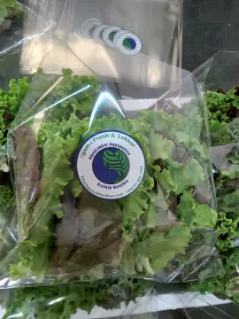 Aquaponics Farm for Sale