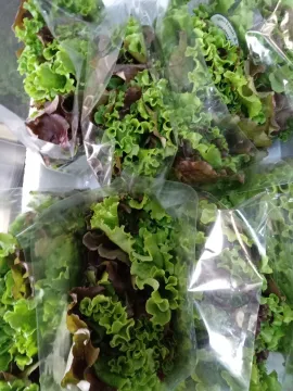 Aquaponics Farm for Sale