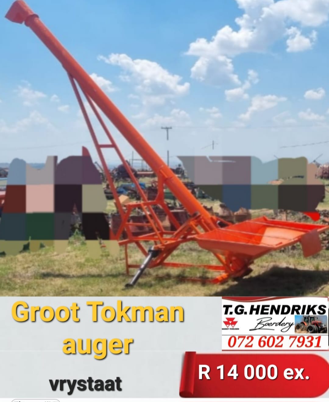 Groot tokman Auger | T.G Hendriks boerdery