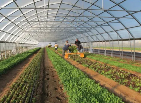 BA Greenhouse Tunnels