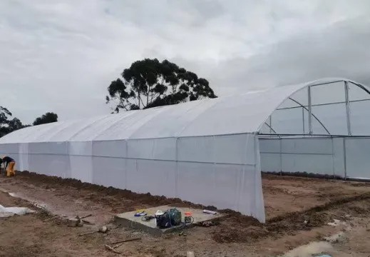 BA Greenhouse Tunnels