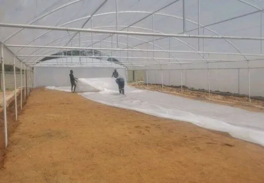 BA Greenhouse Tunnels