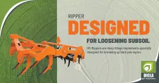 Fieldking Heavy Duty Ripper | Designed For Loosening Subsoil | Dicla Agri Machinery