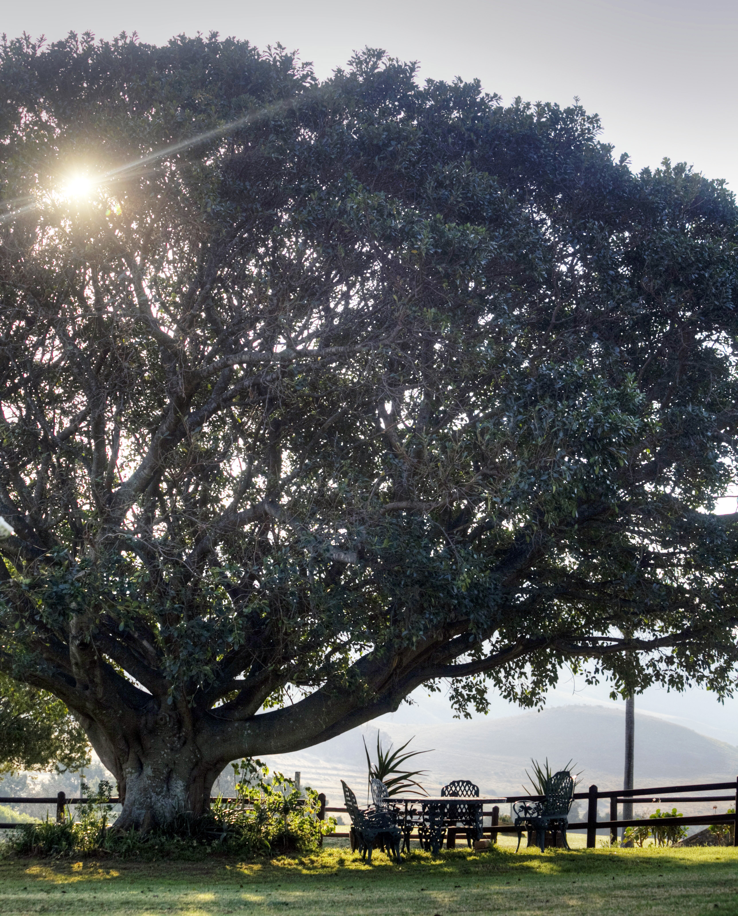 Agricultural , mountains, fountains, waterfalls