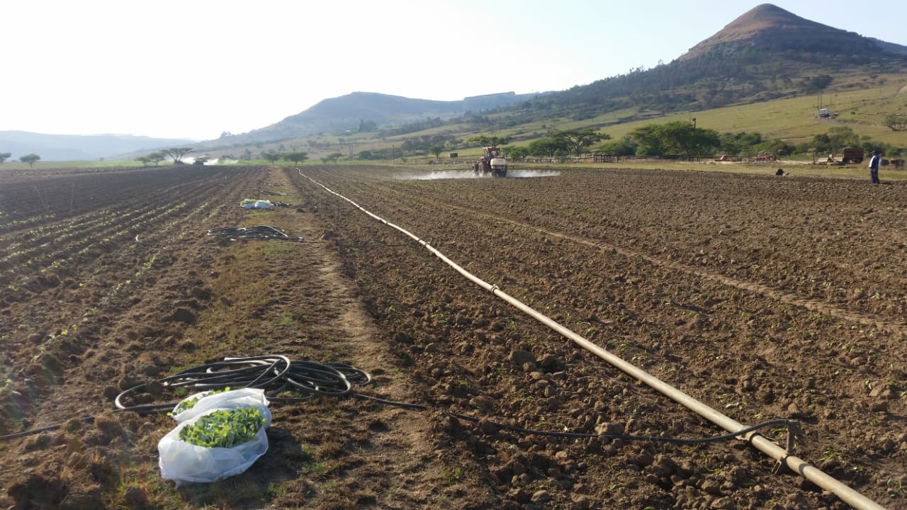 Farm For Sale in Vryheid, KZN