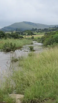 Farm For Sale in Vryheid, KZN