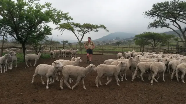 Farm For Sale in Vryheid, KZN