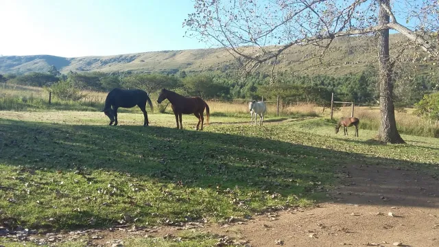 Farm For Sale in Vryheid, KZN