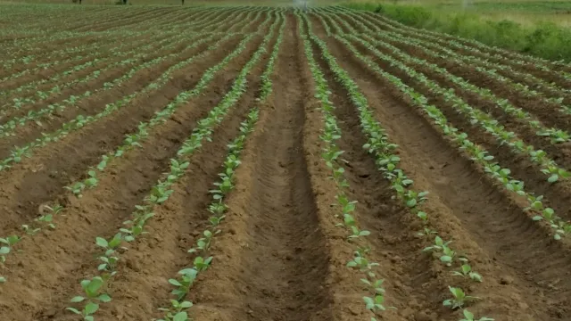 Farm For Sale in Vryheid, KZN