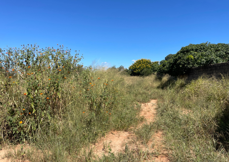 2700 m² vacant land for sale in Ibex Hill (Zambia) | Pam Golding