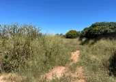 2700 m² vacant land for sale in Ibex Hill (Zambia) | Pam Golding