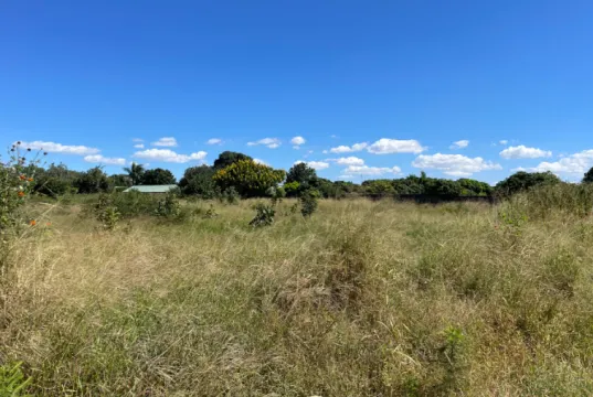 2700 m² vacant land for sale in Ibex Hill (Zambia) | Pam Golding