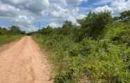 4032 m² vacant land for sale in Leopards Hill (Zambia) | Pam Golding