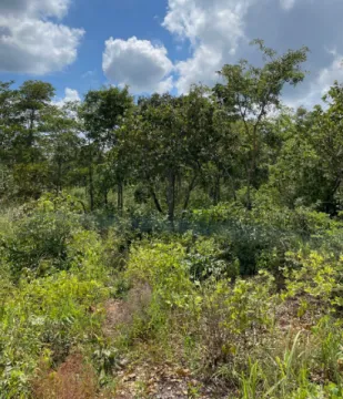 4032 m² vacant land for sale in Leopards Hill (Zambia) | Pam Golding