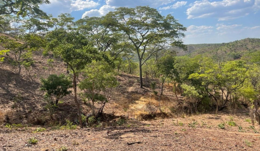 2,9 Hectare vacant land for sale in Lusaka (Zambia)