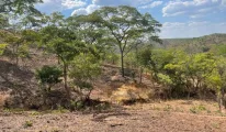 2,9 Hectare vacant land for sale in Lusaka (Zambia)