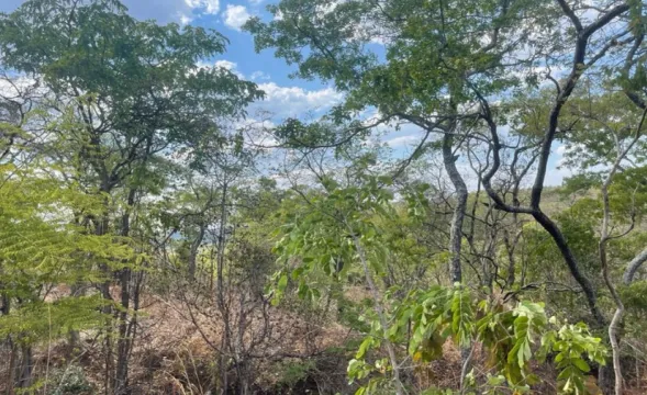 2,9 Hectare vacant land for sale in Lusaka (Zambia)