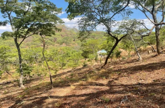 2,9 Hectare vacant land for sale in Lusaka (Zambia)