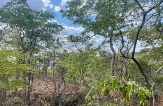 2,9 Hectare vacant land for sale in Lusaka (Zambia)