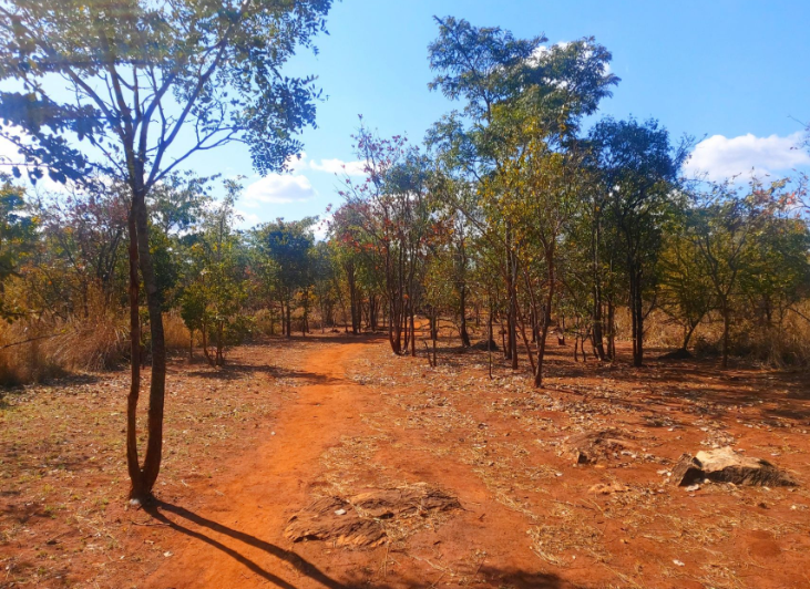 1 Acre vacant land for sale in Leopards Hill (Zambia) | Pam Golding