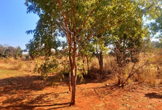 1 Acre vacant land for sale in Leopards Hill (Zambia) | Pam Golding