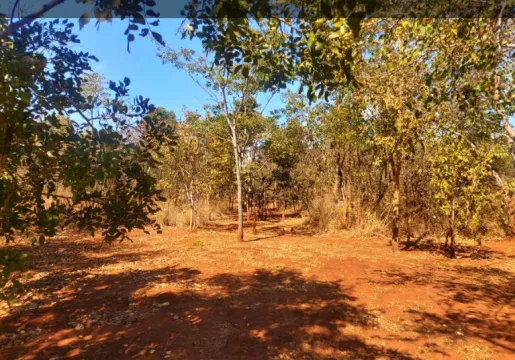1 Acre vacant land for sale in Leopards Hill (Zambia) | Pam Golding