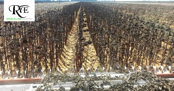 NARDI Sunstorm | Ripper Tillage Equipment