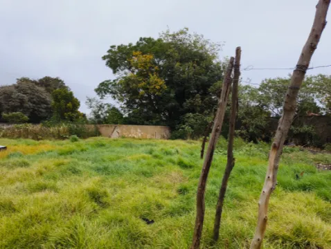 10 Bedroom Freehold For Sale in Bapsfontein | Casa Dynamica Properties