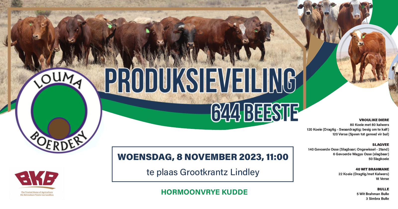 Louma Boerdery Produksieveiling | 8 November 2023 | Grootkrantz, Lindley