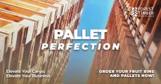 Pallet Perfection | Forest Timber
