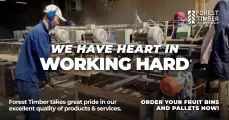 We have heart in working hard | Forest Timber