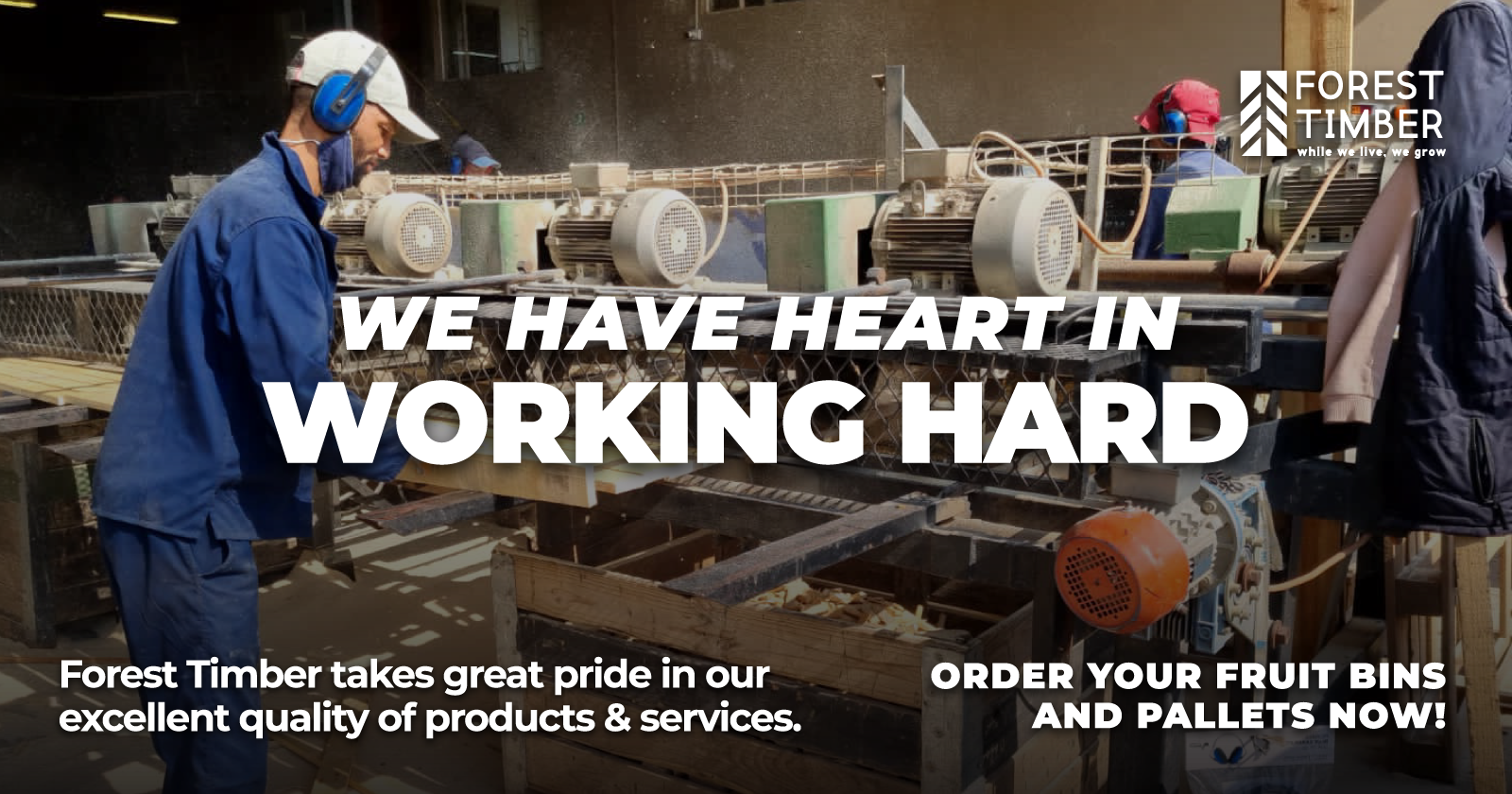 We have heart in working hard | Forest Timber