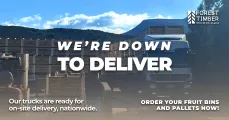 We're down to deliver | Forest Timber