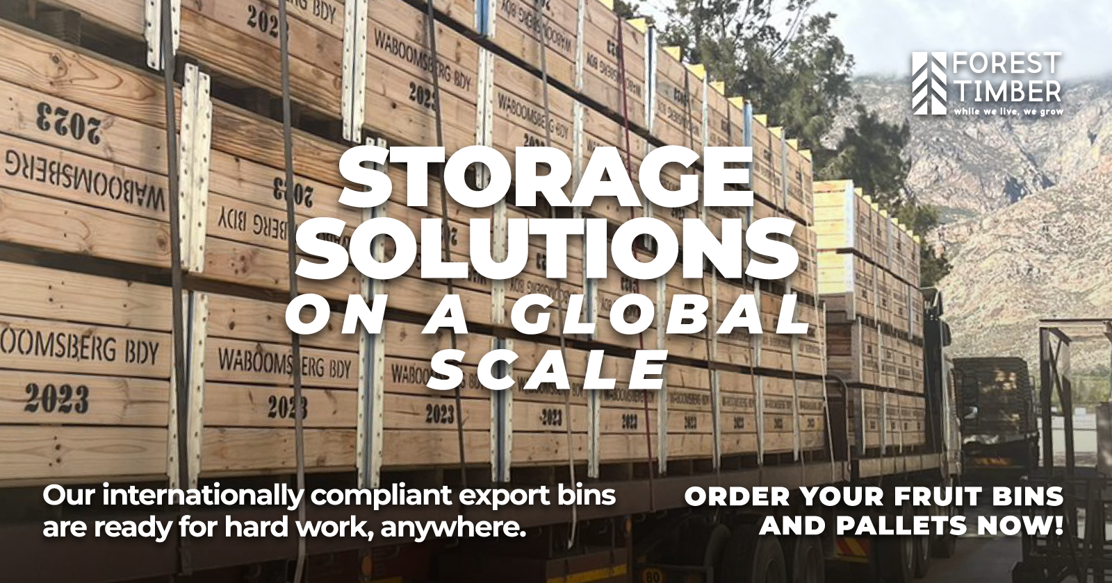 Storage Solutions on a Global Scale | Forest Timber