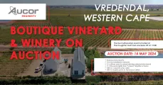 Boutique Vineyard & Winery | Vredendal, Western Cape | Aucor Property