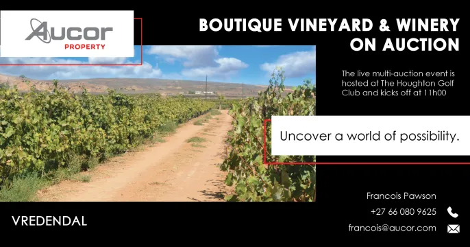 Boutique Vineyard & Winery | Vredendal, Western Cape | Aucor Property