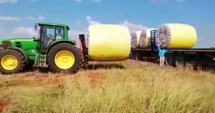 Katoenlaaier | Myburgh Toerusting