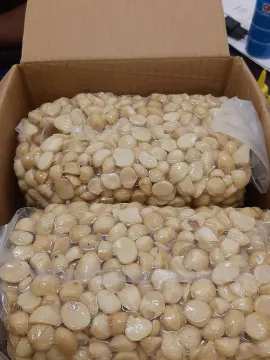 vacuum sealer locally made ideal for silage, nuts, seeds, dried fruits. bulk packaging