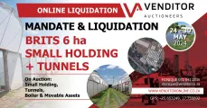 Online liquidation auction | Brits 6 ha small holding + tunnels | 24 – 30 May 2024 | Venditor