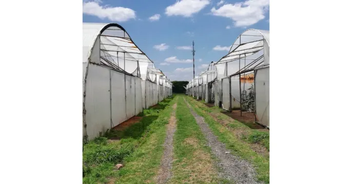 Online liquidation auction | Brits 6 ha small holding + tunnels | 24 – 30 May 2024 | Venditor