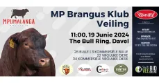 Mpumalanga Brangus klub veiling | 19 Junie 2024 | 11:00 | The Bull Ring, Davel