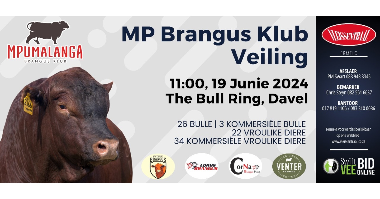 Mpumalanga Brangus klub veiling | 19 Junie 2024 | 11:00 | The Bull Ring, Davel