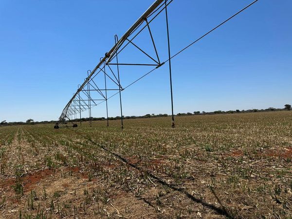 15 Ha Verskuifbare Talbert Spilpunt | Agrimar