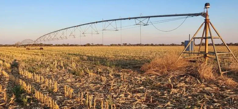 15 Ha Verskuifbare Talbert Spilpunt | Agrimar