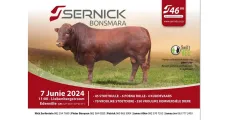 Sernick Bonsmara 46ste produksieveiling | 7 Junie 2024 | 11:00 | Liebenbergstroom, Edenville