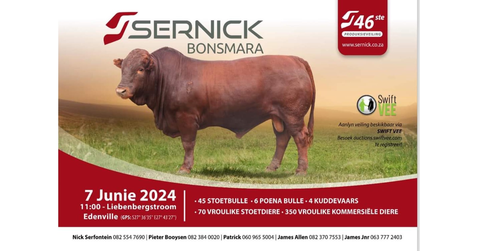 Sernick Bonsmara 46ste produksieveiling | 7 Junie 2024 | 11:00 | Liebenbergstroom, Edenville