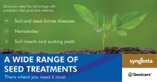 A wide range of seed treatments there where you need it most | Syngenta Seedcare