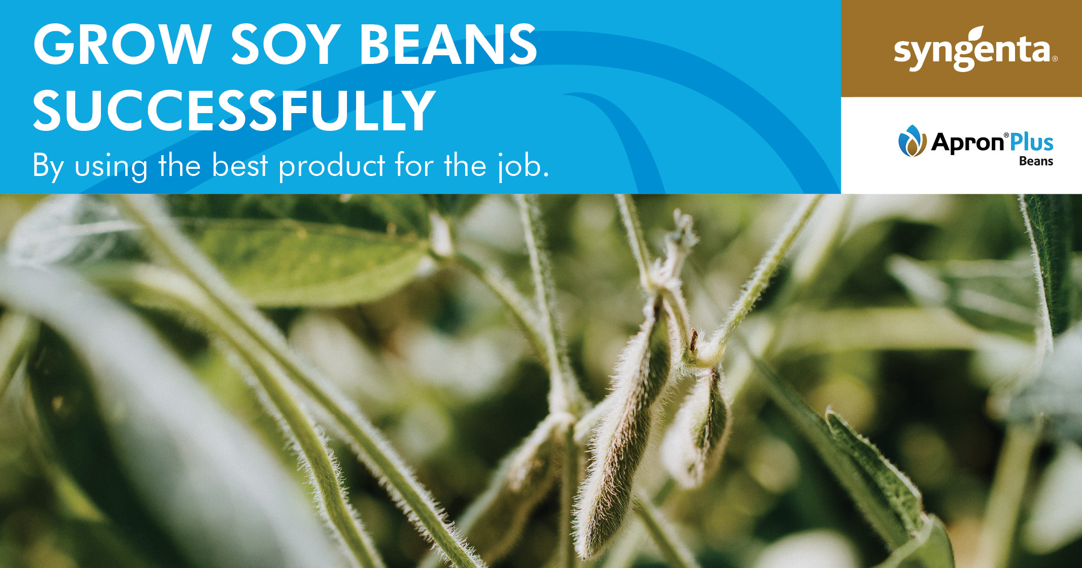 Grow soy beans successfully by using the best product for the job | Syngenta Seedcare